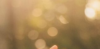 How the Reformation Recovered Preaching